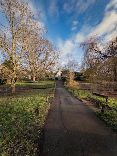 A paved pathway in a park during daytime, surrounded by leafless trees with exposed branches, some with light green grass and patches of soil on either side. Wooden posts and black metal chained barriers line both sides of the path, leading towards a white residential building visible in the distance. The sky overhead is partly cloudy with blue patches, indicating clear weather. This scene is part of an urban park area, which could be used as part of a house move or home relocation process, with Man with Van Upper Norwood potentially involved in planning moving logistics through such outdoor environments during furniture transport or packing and moving activities.