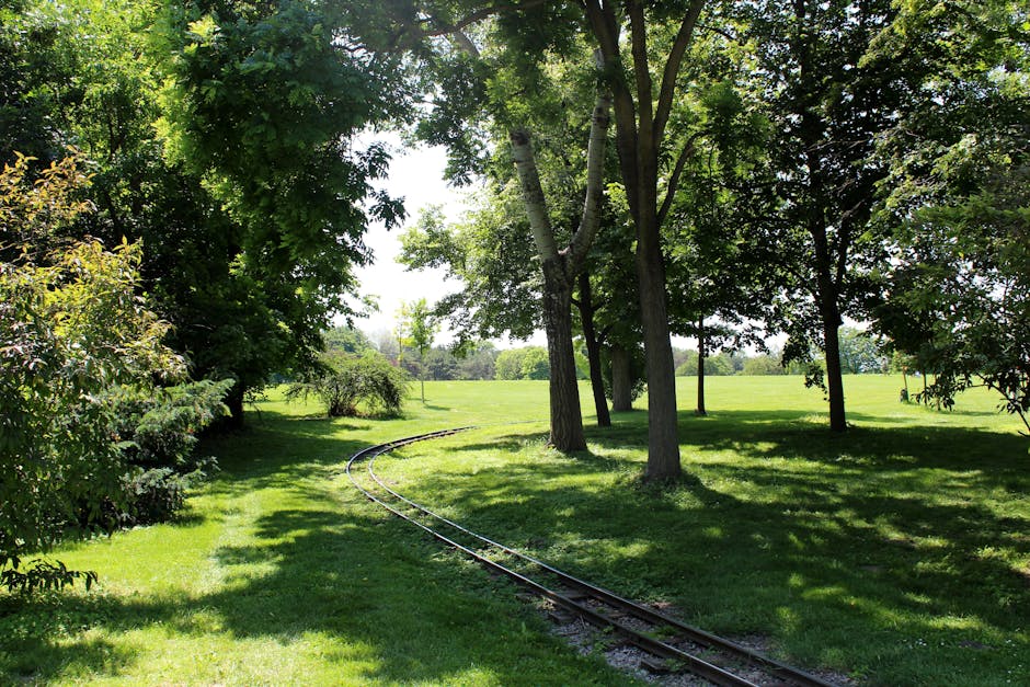 A narrow railway track runs through a grassy area beneath a canopy of tall, leafy trees with thick trunks and green foliage. The track curves gently to the left and appears to be part of a small, private railway or miniature train line. Sunlight filters through the trees, casting dappled shadows on the grass and highlighting the lush, well-maintained greenery around the track. In the background, there is an open, expansive lawn with a few distant trees and does not show any structures or buildings. The scene is natural and peaceful, with no visible moving objects or people, but it is a typical setting where house removals and furniture transport may take place if the railway is used for moving small items or equipment as part of a relocation process. The environment suggests an outdoor setting suitable for careful loading and transport of items by a professional removal service such as Man with Van Upper Norwood.